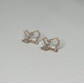 Gold Texas earrings